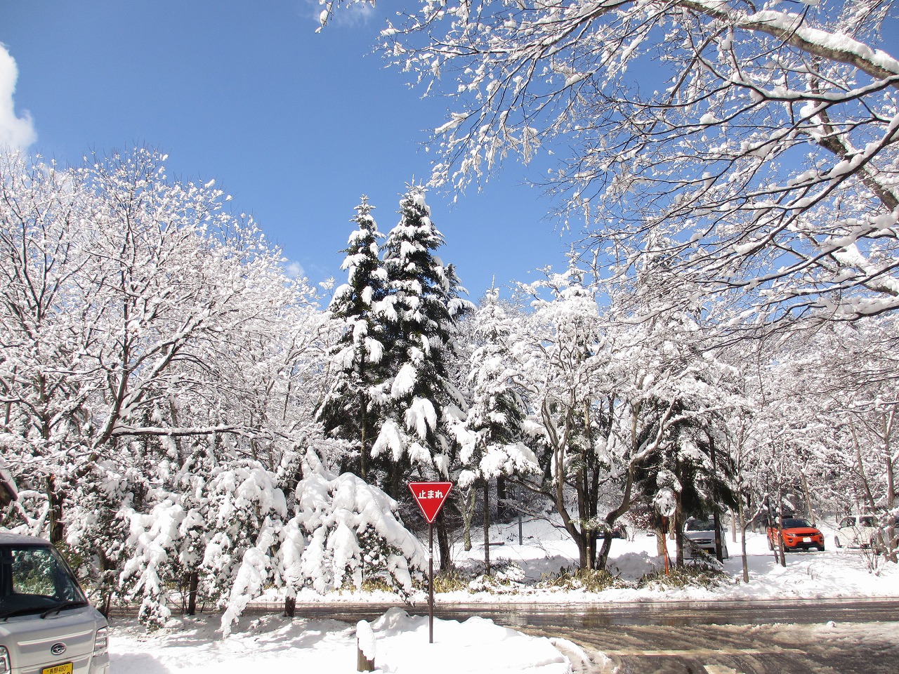 3月の雪景色 | 軽井沢 別荘Navi ブログ