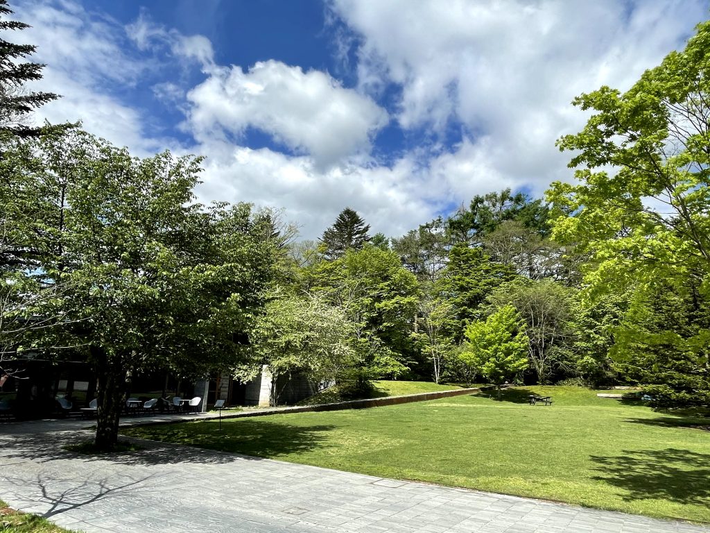 軽井沢星野エリアにあるもみの木広場（村民食堂横）の新緑の様子